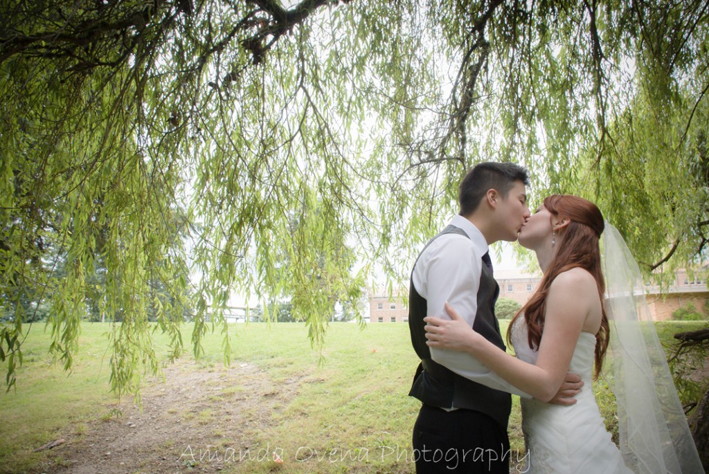 groom and bride kissing under a willow tree