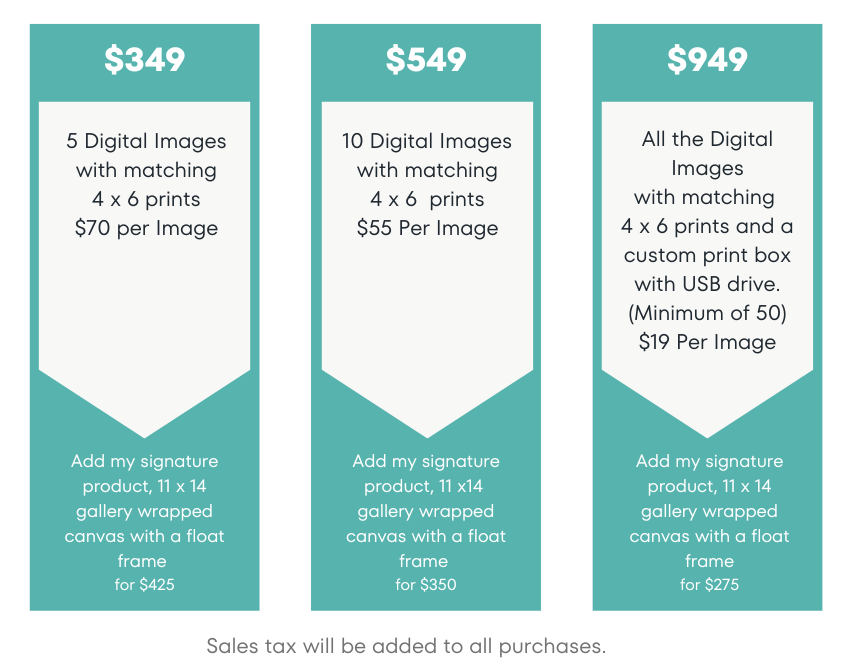 family photography pricing graphic