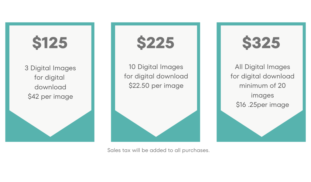 pricing for mini sessions